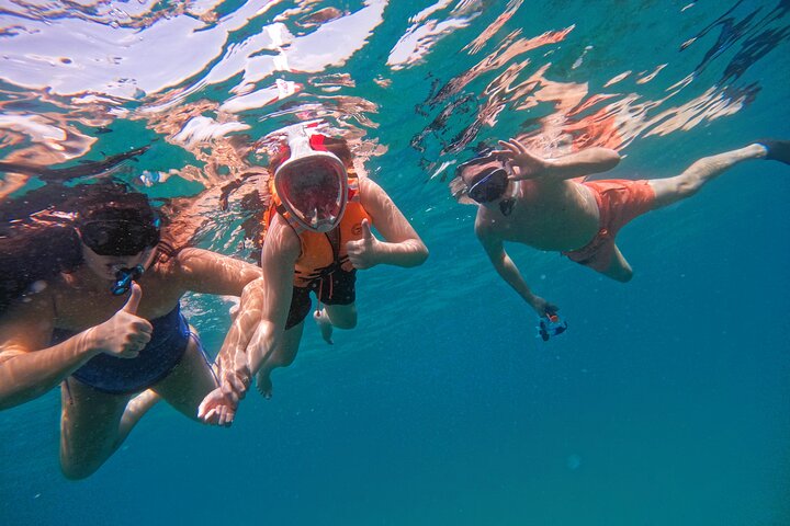 Private Snorkeling with turtles in Fujairah