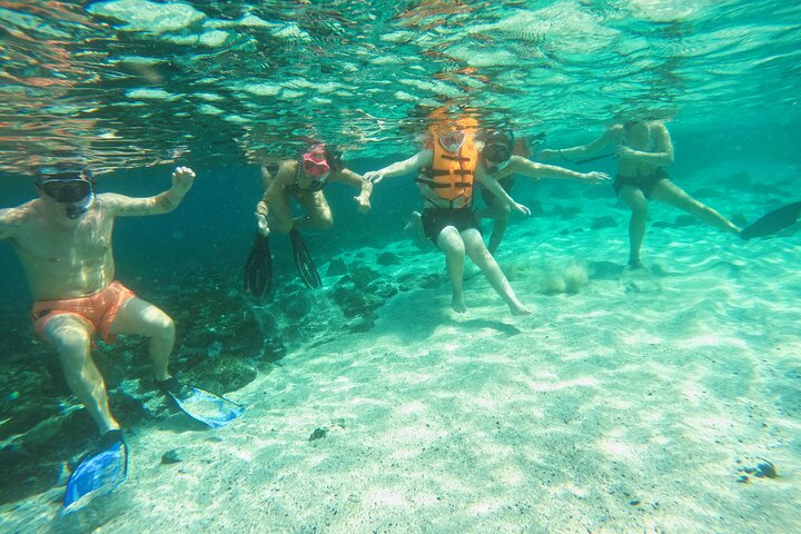 Private Snorkeling with turtles in Fujairah
