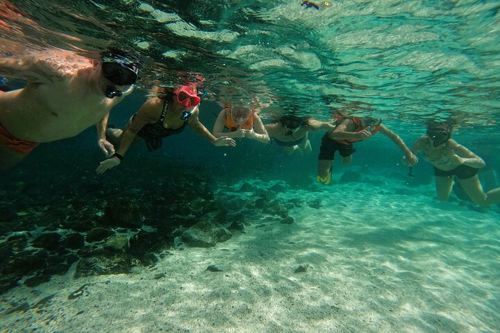 Private Snorkeling with turtles in Fujairah