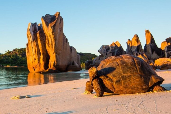 Half day Curieuse and St Pierre island Seychelles