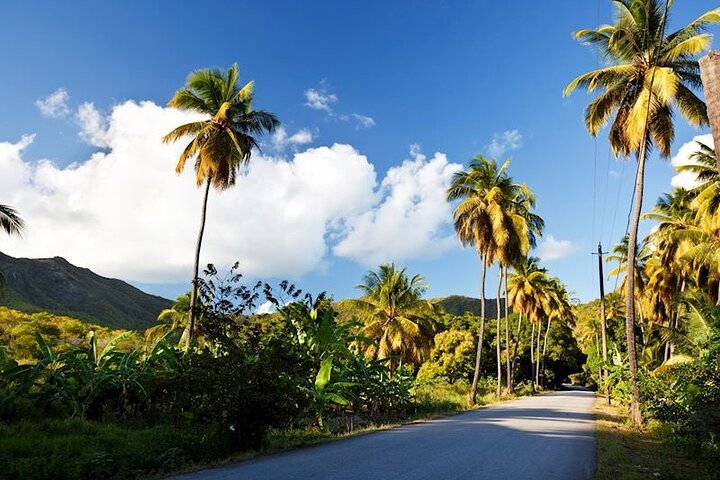 Tuk-Tuk Adventures Rainforest and Beach Hopping Tour