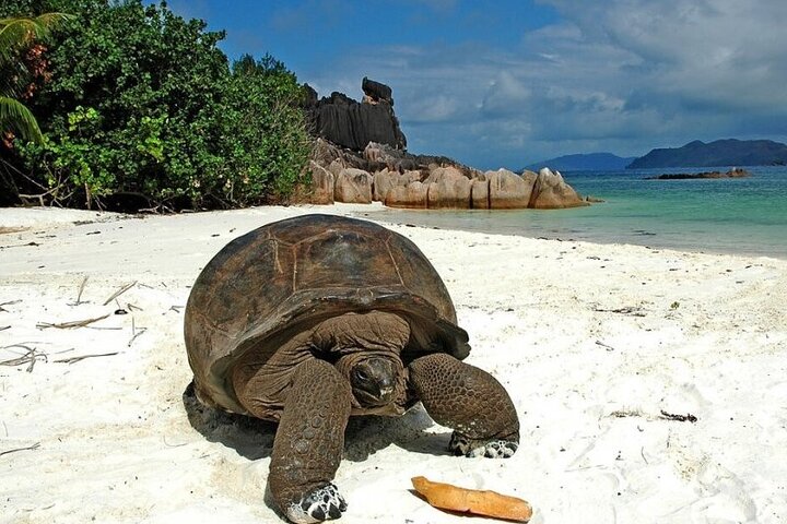 Half day Curieuse and St Pierre island Seychelles