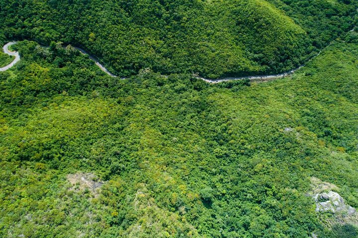 Tuk-Tuk Adventures Rainforest and Beach Hopping Tour