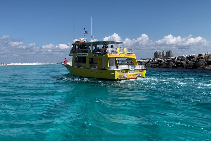 Dolphin & Sunset Cruises