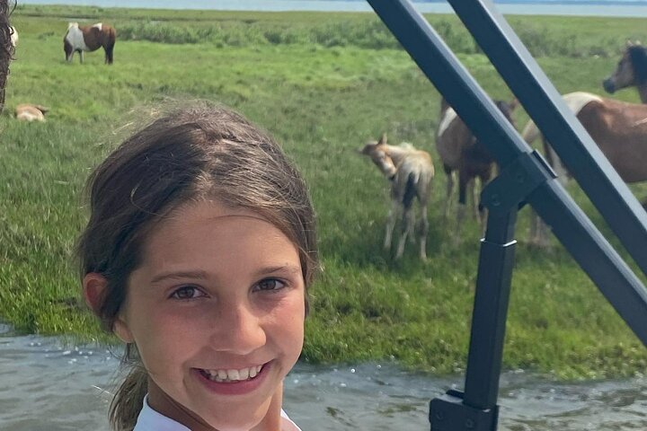 Chincoteague's Up The Bay Pony and Wildlife Tour by Boat