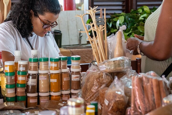 Private Full-day Tour in Grenada with Pickup