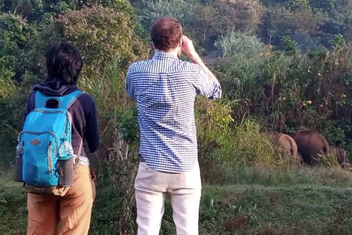 Green Magic Day Tour to Munnar