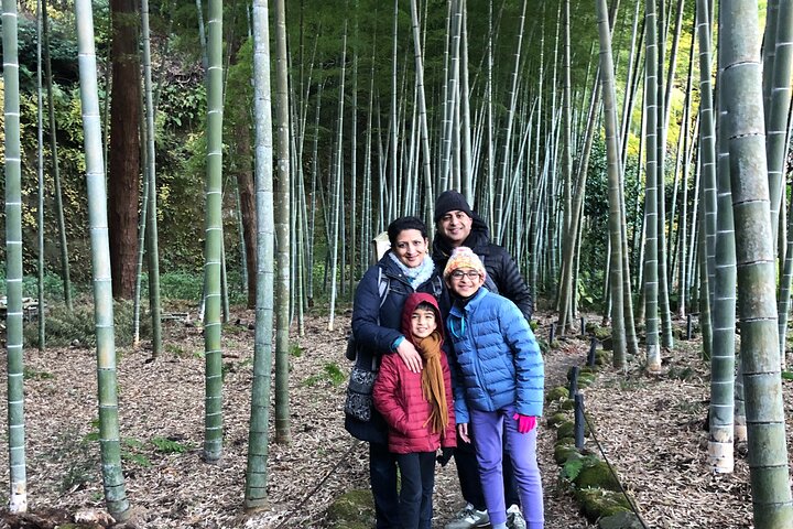 Kamakura Customized Half-Day Tour with Licensed Local Guide