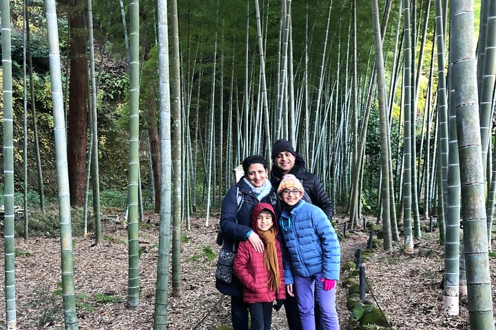 Kamakura Zen Temples & Gardens Tour with Licensed Guide