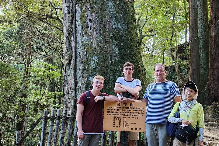 Himeji Castle & Koko-en in 1 Day Tour with Licensed Guide