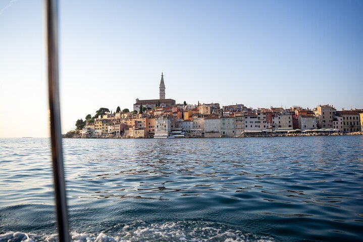 Dolphin Watching Sunset Speedboat Tour with Drinks in Rovinj