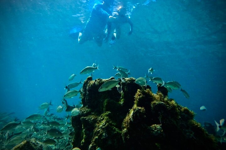 Tortola Private Tour and Snorkeling in the most beautiful beaches