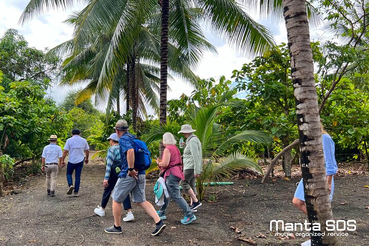 The ultimate Cocoa farm experience