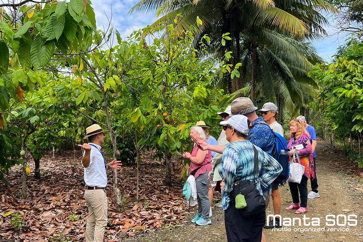 The ultimate Cocoa farm experience