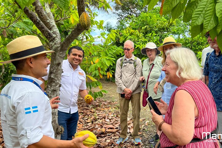 The ultimate Cocoa farm experience