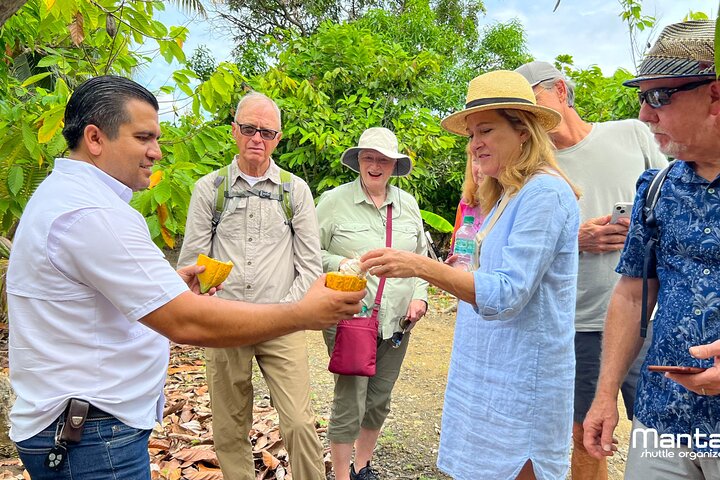 The ultimate Cocoa farm experience