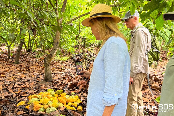 The ultimate Cocoa farm experience