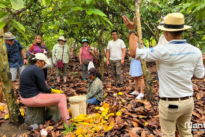 The ultimate Cocoa farm experience