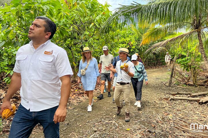 The ultimate Cocoa farm experience