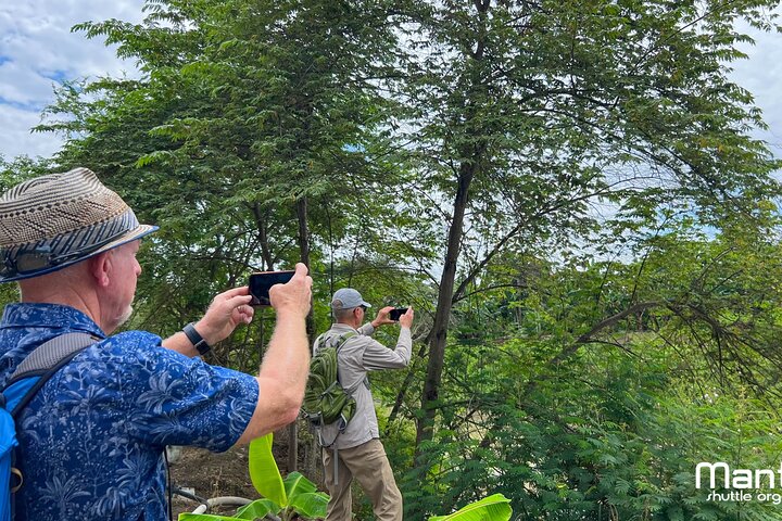 The ultimate Cocoa farm experience