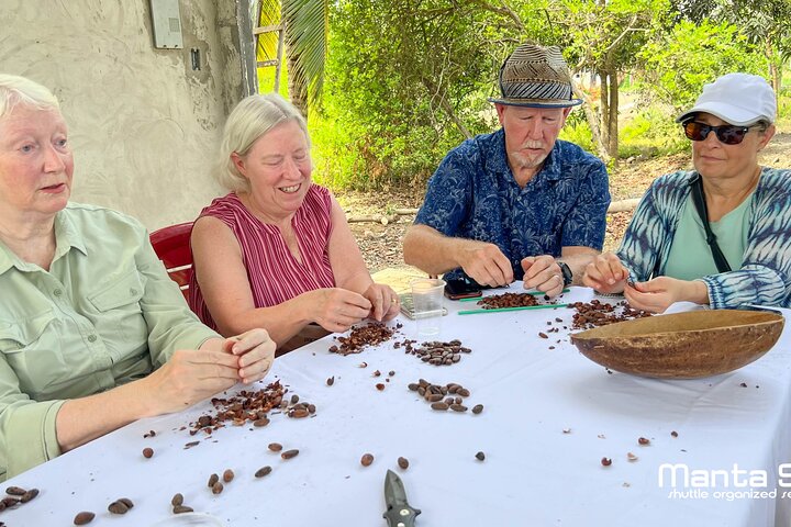 The ultimate Cocoa farm experience