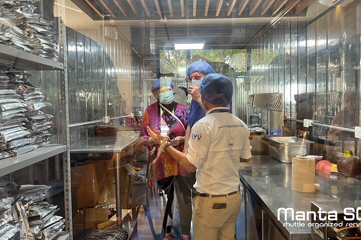 The ultimate Cocoa farm experience