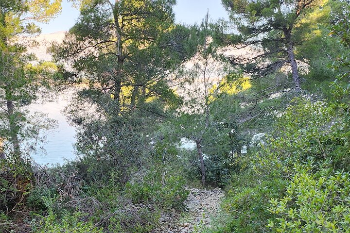 Korčula Secret Beach Experience