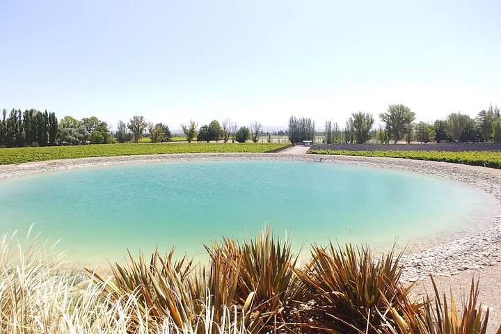 Lujan & Maipu - Private - The Best WineTour & Lunch