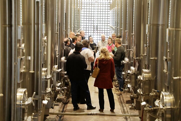 Lujan & Maipu - Private - The Best WineTour & Lunch