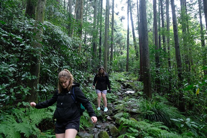 Hike Japan Heritage Hakone Hachiri (Half Day)