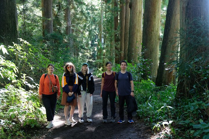 Hike Japan Heritage Hakone Hachiri (Half Day)