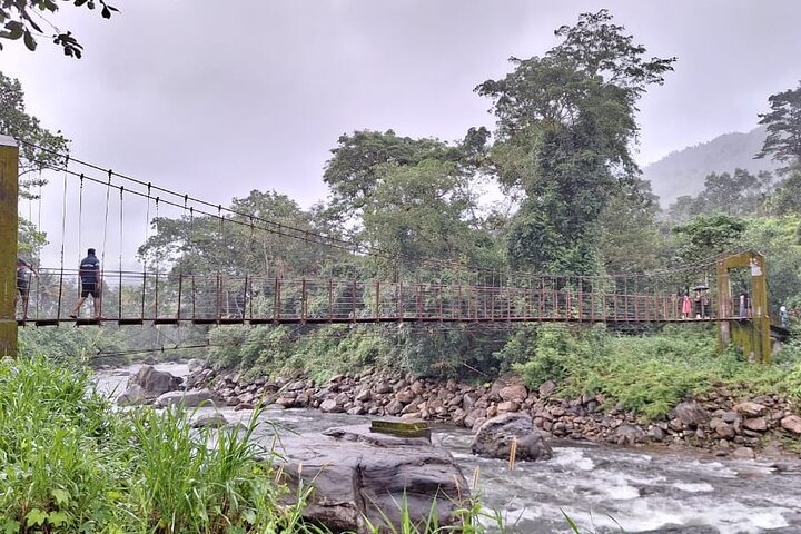 Wild Elephant Anakulam & Waterfalls Tour(munnar valley Trekking)