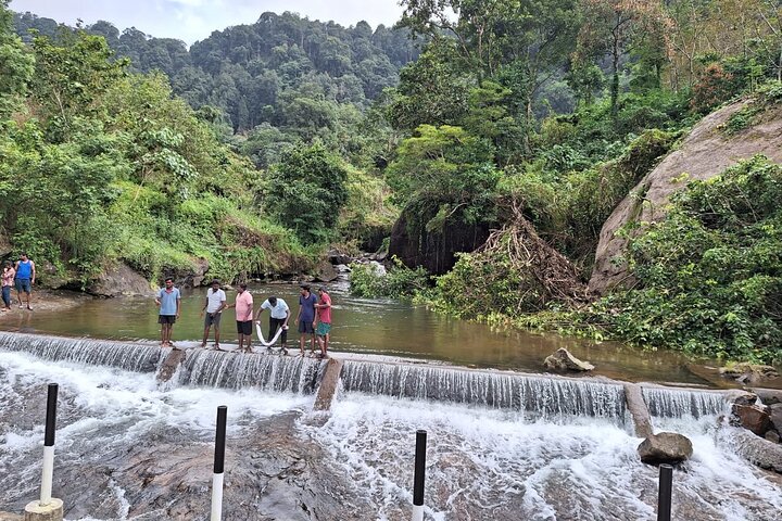 Wild Elephant Anakulam & Waterfalls Tour(munnar valley Trekking)