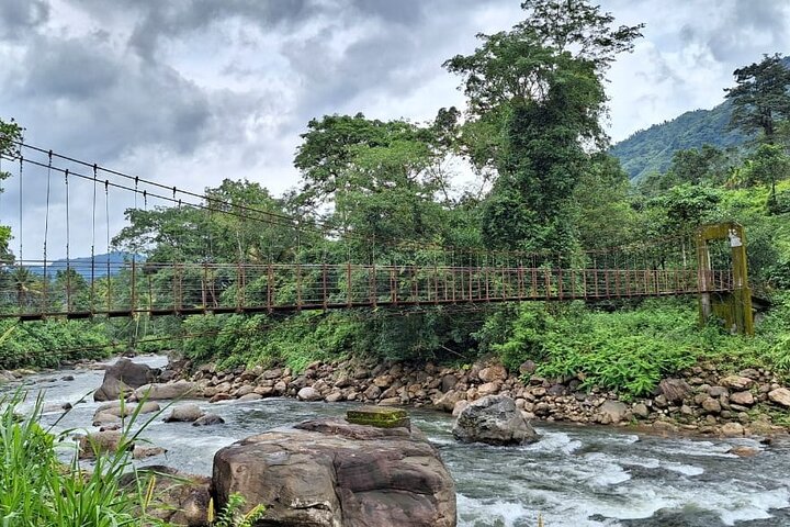 Wild Elephant Anakulam & Waterfalls Tour(munnar valley Trekking)