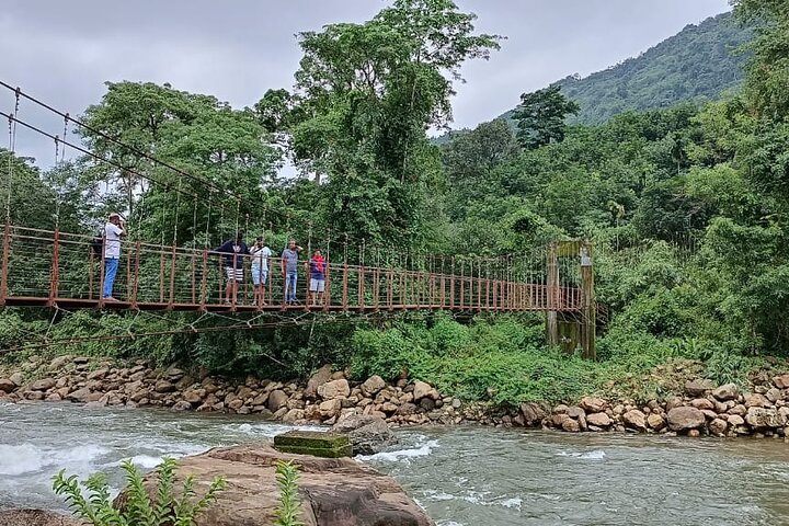 Wild Elephant Anakulam & Waterfalls Tour(munnar valley Trekking)