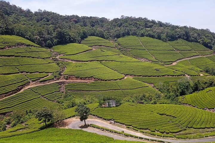 Wild Elephant Anakulam & Waterfalls Tour(munnar valley Trekking)