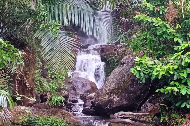 Wild Elephant Anakulam & Waterfalls Tour(munnar valley Trekking)