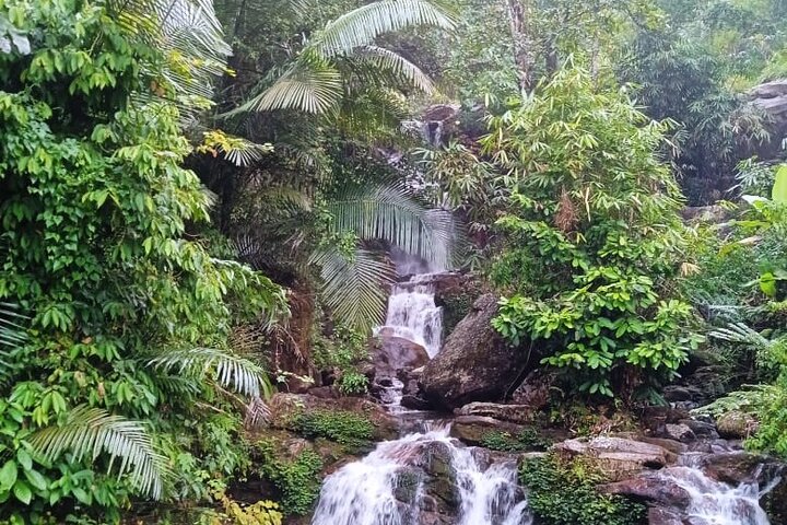 Wild Elephant Anakulam & Waterfalls Tour(munnar valley Trekking)