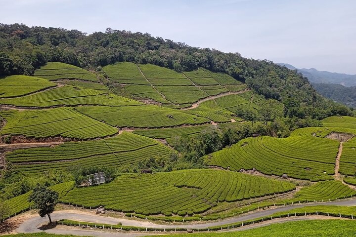 Wild Elephant Anakulam & Waterfalls Tour(munnar valley Trekking)