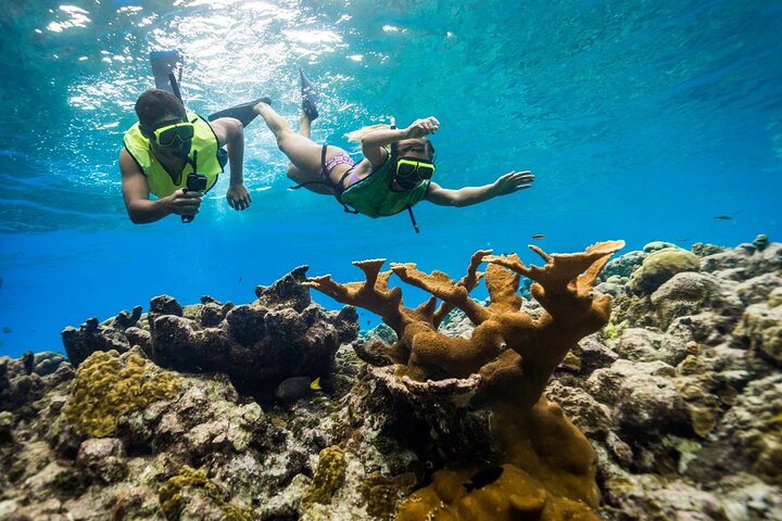 Private Snorkeling Tour Nha Trang