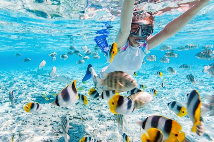 Private Snorkeling Tour Nha Trang