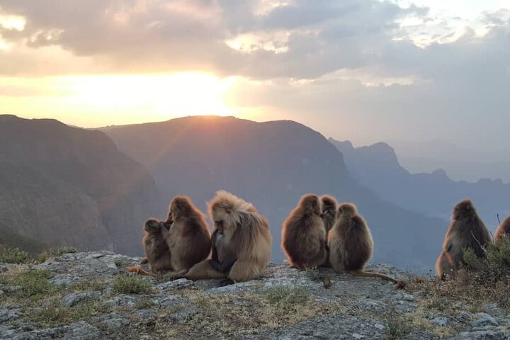 5 days Exploring North Ethiopia's Rich History and Culture