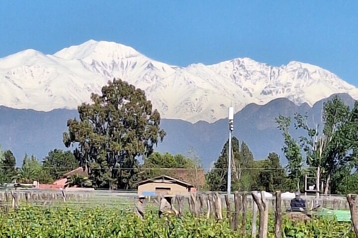 Private Mendoza WineTour: 3 Premium Wineries Michelin-Guide Lunch