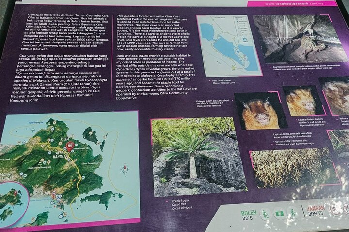 Sharing Half Day Mangrove Boat Tour With Lunch in Langkawi
