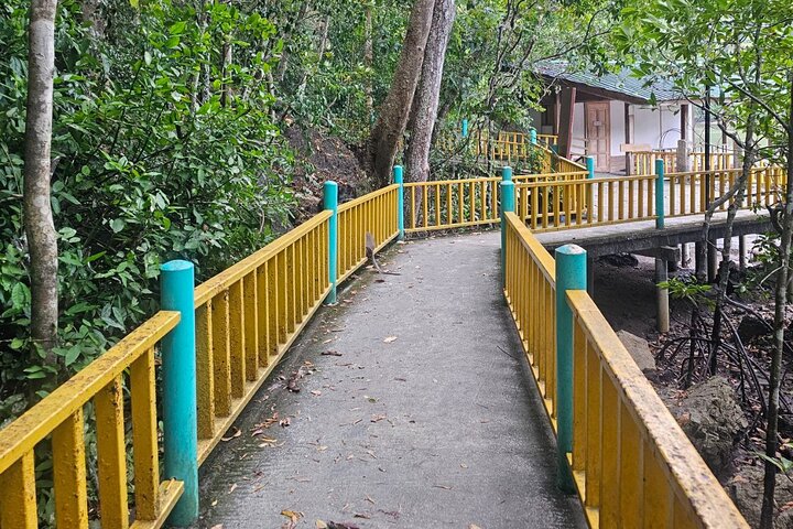 Sharing Half Day Mangrove Boat Tour With Lunch in Langkawi
