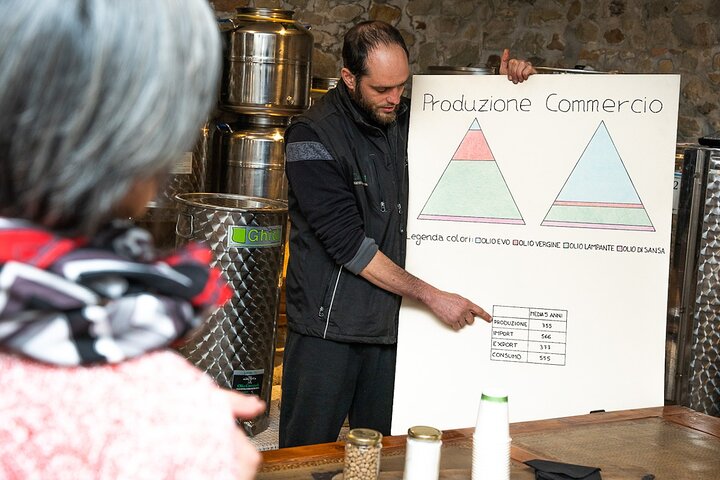 Guided tours of the olive grove with oil tasting.