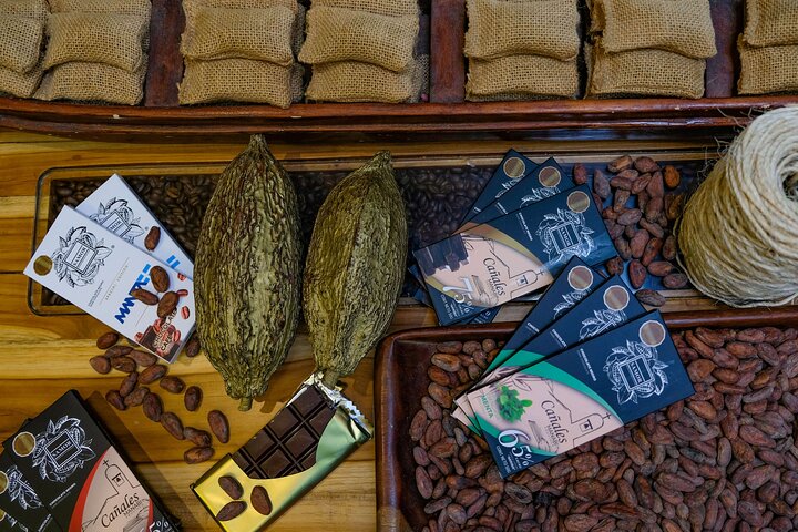 The ultimate Cocoa farm experience