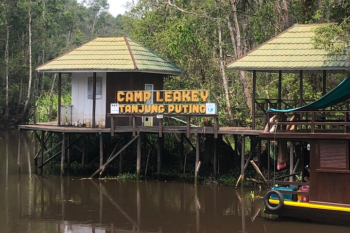 Orangutan Houseboat Kelotok Tanjung Puting 3 Days Share Cost