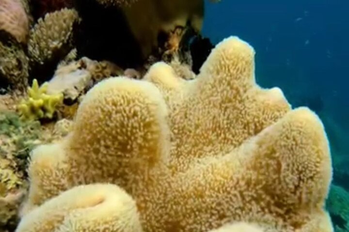 Rangko Cave & Beach Snorkeling Half Day Sharing Trip Labuan Bajo