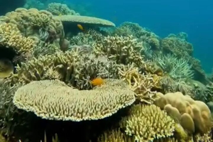 Rangko Cave & Beach Snorkeling Half Day Sharing Trip Labuan Bajo